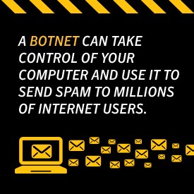 whati is a botnet